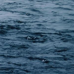 男生和女生搞鸡APP
